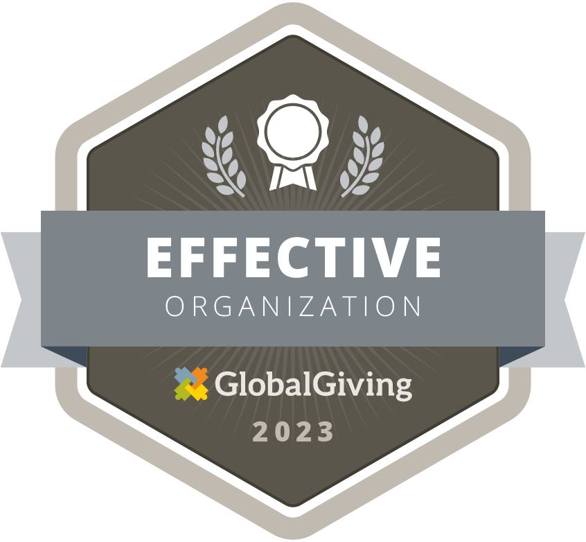 Global Giving Effective image